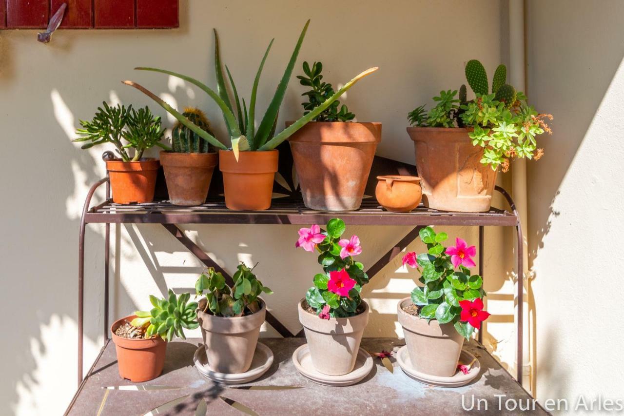 Un Tour En Arles Apartment ภายนอก รูปภาพ